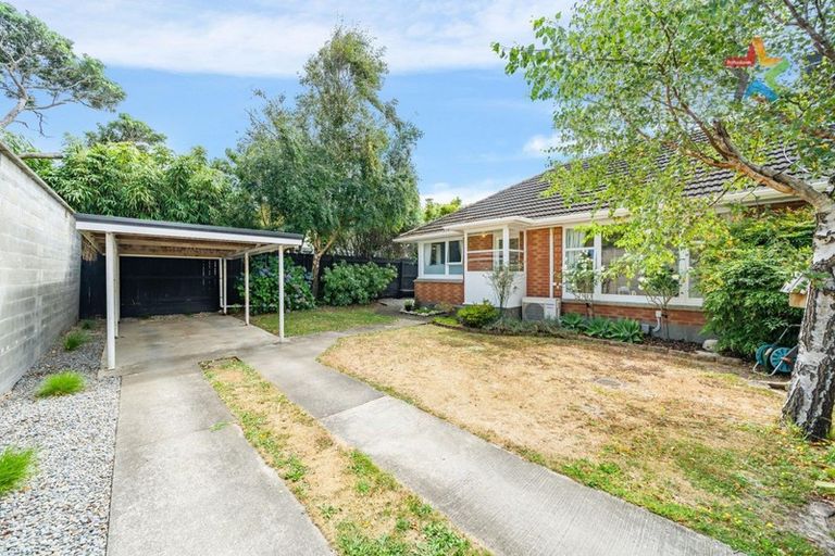 Photo of property in 557b High Street, Boulcott, Lower Hutt, 5010
