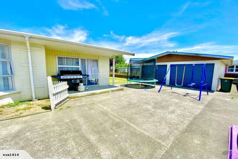 Photo of property in 53 Featherston Street, Levin, 5510