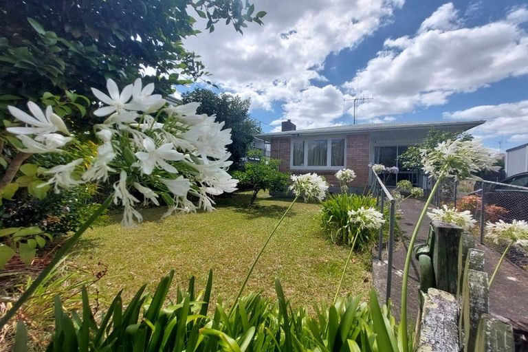 Photo of property in 53 Cook Street, Hamilton East, Hamilton, 3216