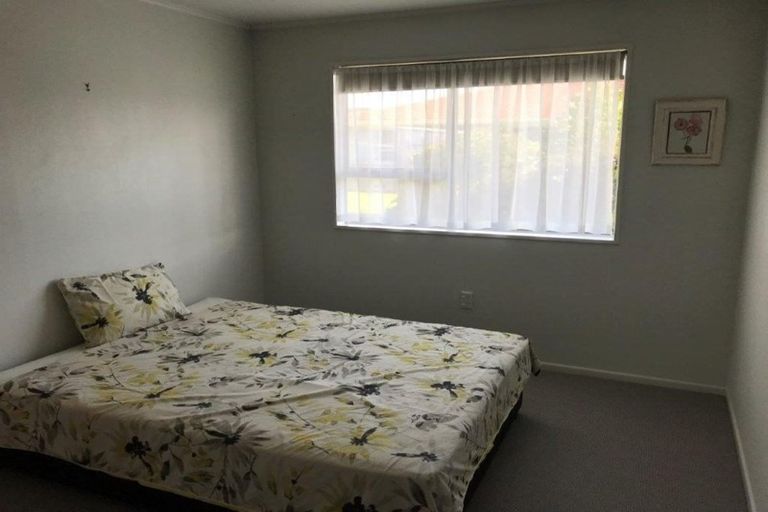 Photo of property in 301-303 Nelson Street North, Hastings, 4122