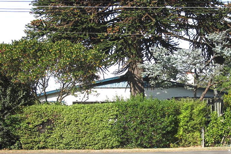 Photo of property in 97 Shearman Street, Waimate, 7924