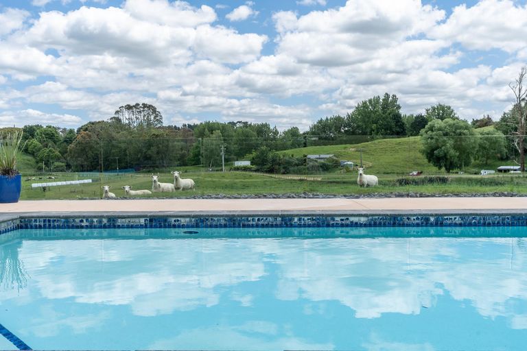 Photo of property in 220 Howden Road, Temple View, Hamilton, 3289