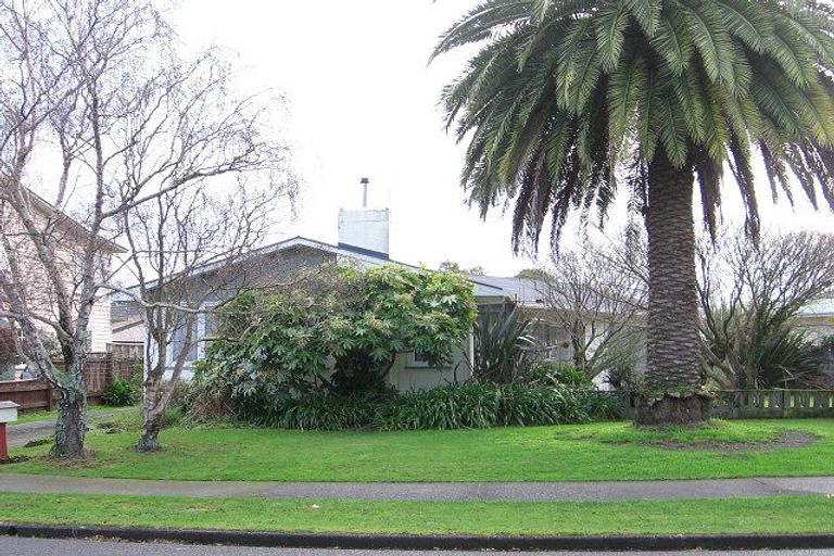 Photo of property in 149 Limbrick Street, Terrace End, Palmerston North, 4410
