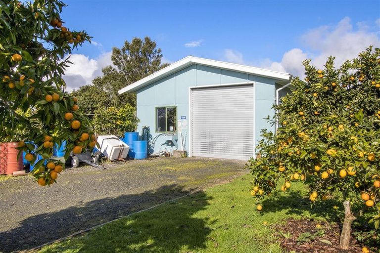 Photo of property in 242 Woodland Road, Tahawai, Katikati, 3170