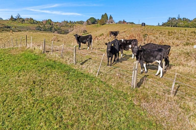Photo of property in 20 Laurel Drive, Whakamarama, Tauranga, 3179