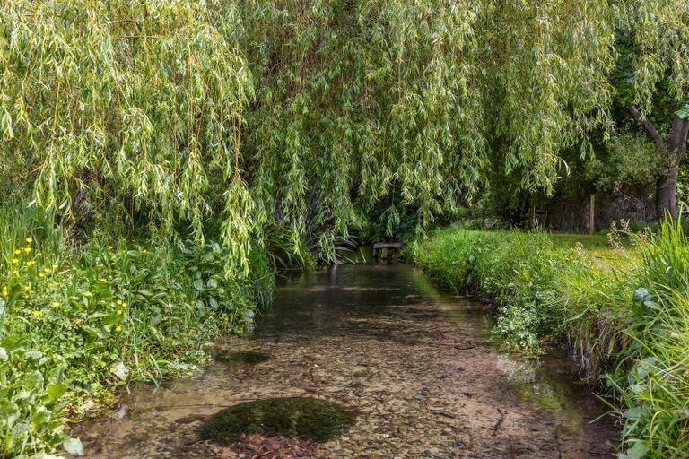 Photo of property in 9 Wilson Drive, Ohoka, Kaiapoi, 7692