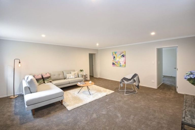 Photo of property in 33 Tower Avenue, Waverley, Dunedin, 9013