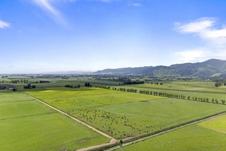 Photo of property in 145 Campbells Road, Pine Hill, Dunedin, 9010