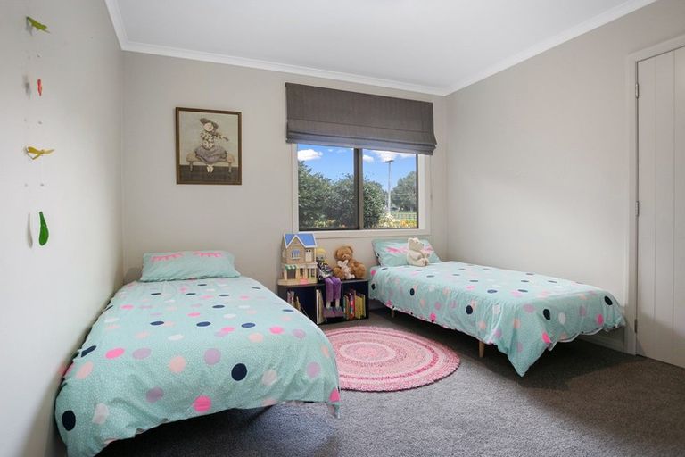 Photo of property in 165 Buckland Road, Matamata, 3472