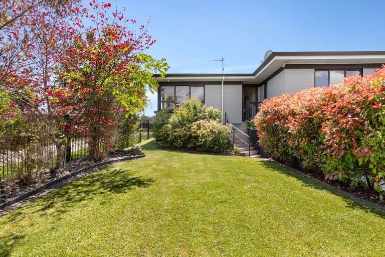 Photo of property in 18 Henderson Street, Whakatane, 3120