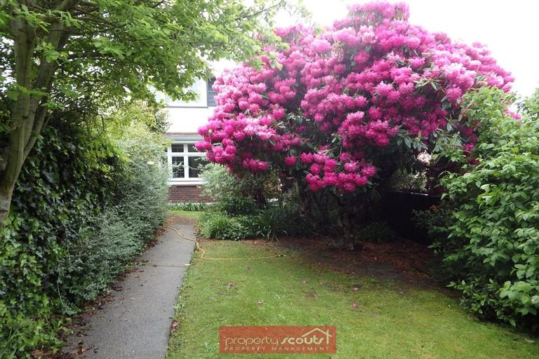 Photo of property in 4 City Road, Roslyn, Dunedin, 9010