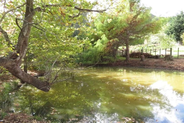 Photo of property in 175a Tapu Coroglen Road, Tapu, Thames, 3575