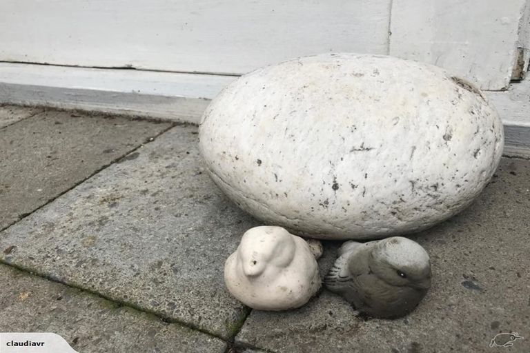 Photo of property in 64 Sandwich Road, Beckenham, Christchurch, 8023