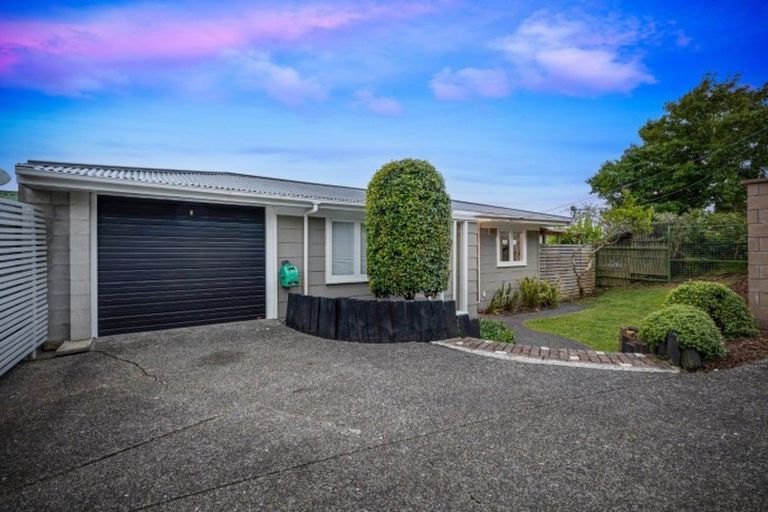 Photo of property in 206 Upper Harbour Drive, Greenhithe, Auckland, 0632
