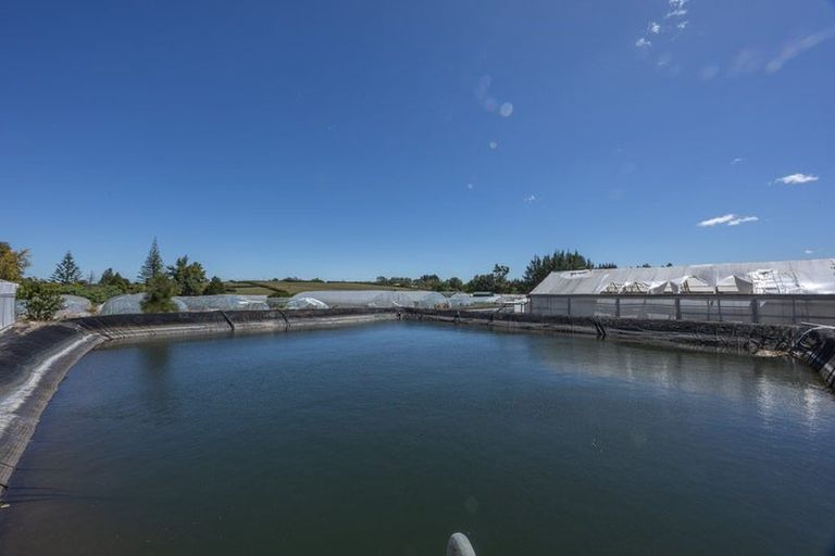 Photo of property in 123 Jesmond Road, Karaka, Drury, 2578