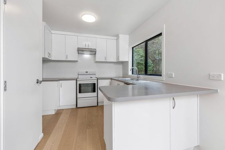 Photo of property in 1/56 Centorian Drive, Windsor Park, Auckland, 0632