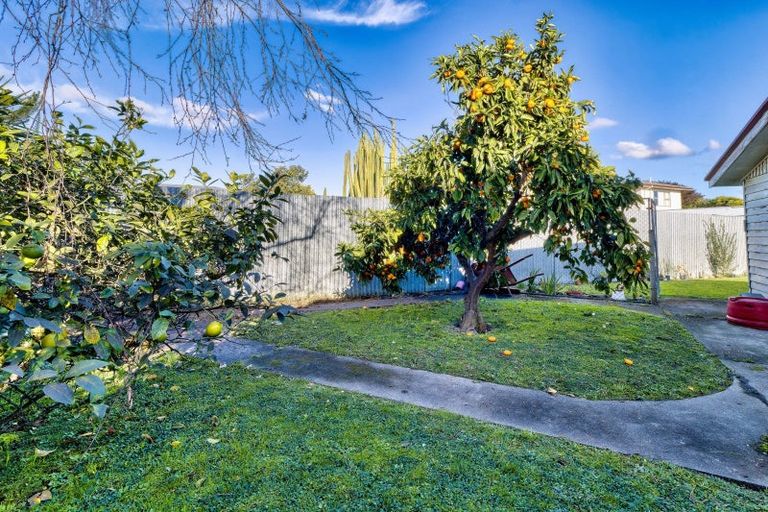 Photo of property in 12 Woodhouse Place, Pirimai, Napier, 4112