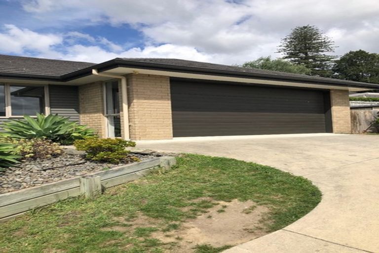 Photo of property in 133 Condor Drive, Pyes Pa, Tauranga, 3112