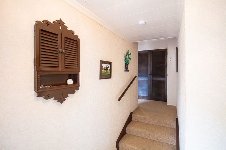 Photo of property in 3 Kebbell Avenue, Levin, 5510