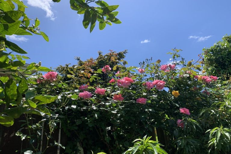 Photo of property in 2/56 Marriott Road, Pakuranga, Auckland, 2010