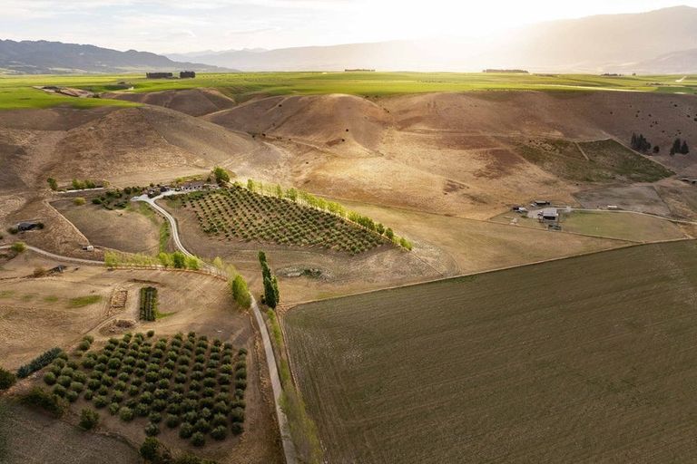 Photo of property in 58 Thomsons Gorge Road, Tarras, Cromwell, 9383