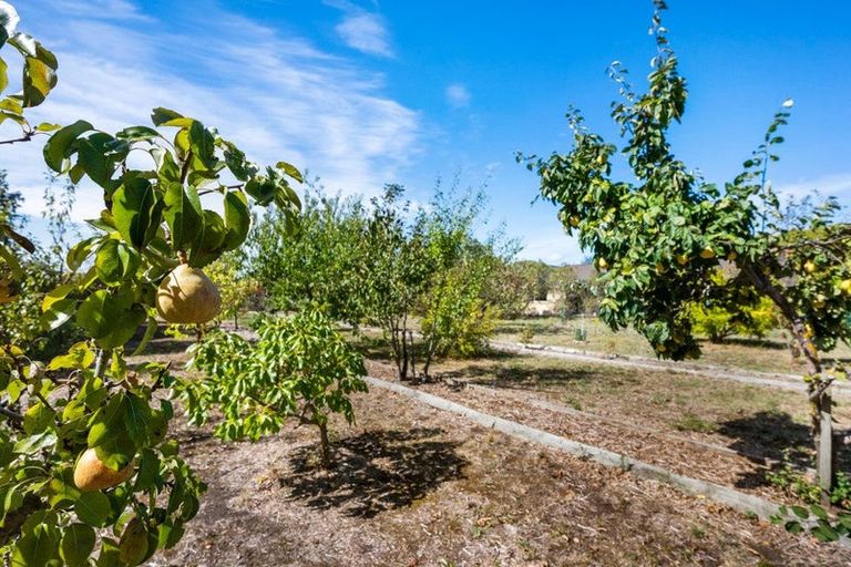 Photo of property in 50 Pipitea Drive, Rarangi, Blenheim, 7273