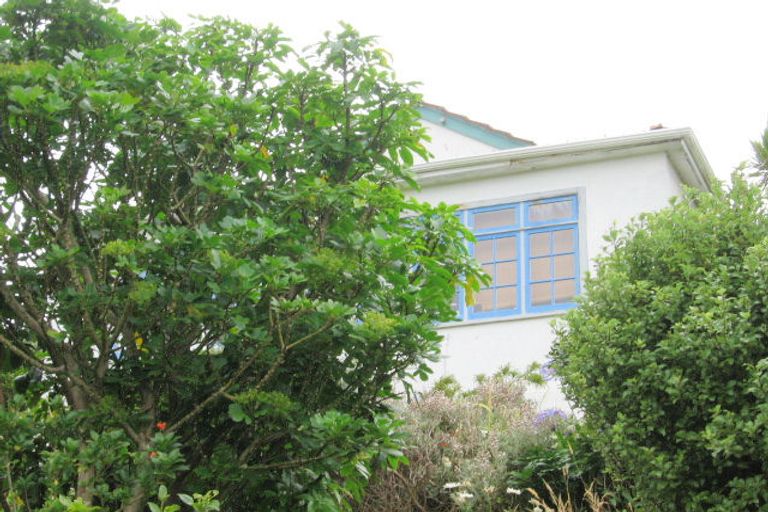 Photo of property in 109 Mornington Road, Brooklyn, Wellington, 6021