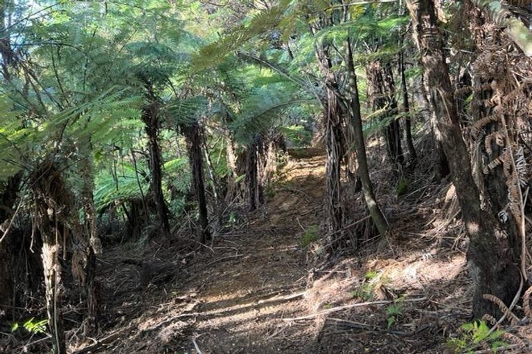 Photo of property in 211 Krippner Road, Puhoi, Warkworth, 0994