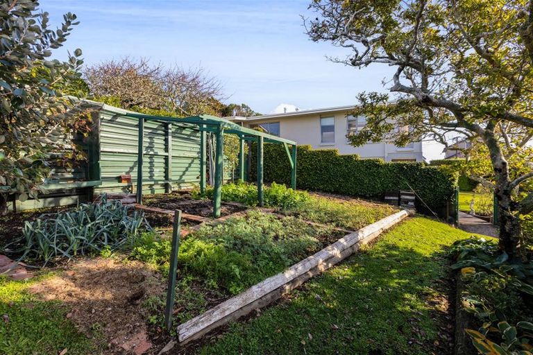 Photo of property in 22b Lismore Street, Strandon, New Plymouth, 4312