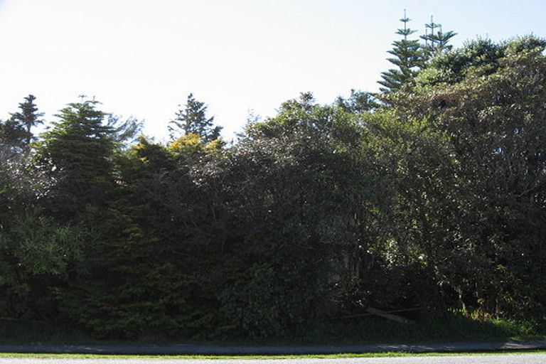 Photo of property in 160 Weld Street, Hokitika, 7810