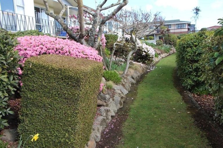 Photo of property in 14 Morgans Road, Glenwood, Timaru, 7910