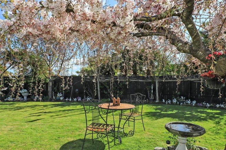 Photo of property in 28a Osier Road, Greenmeadows, Napier, 4112