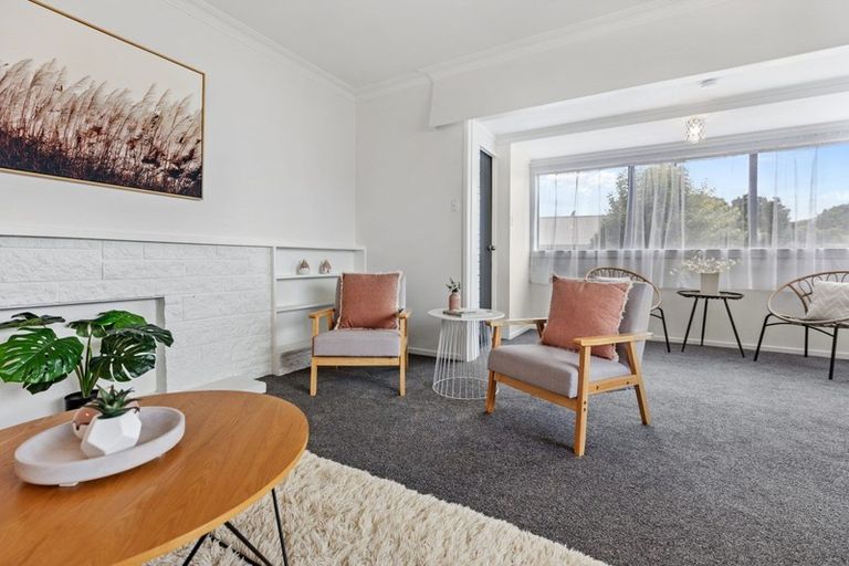 Photo of property in 29 Collingwood Street, Judea, Tauranga, 3110