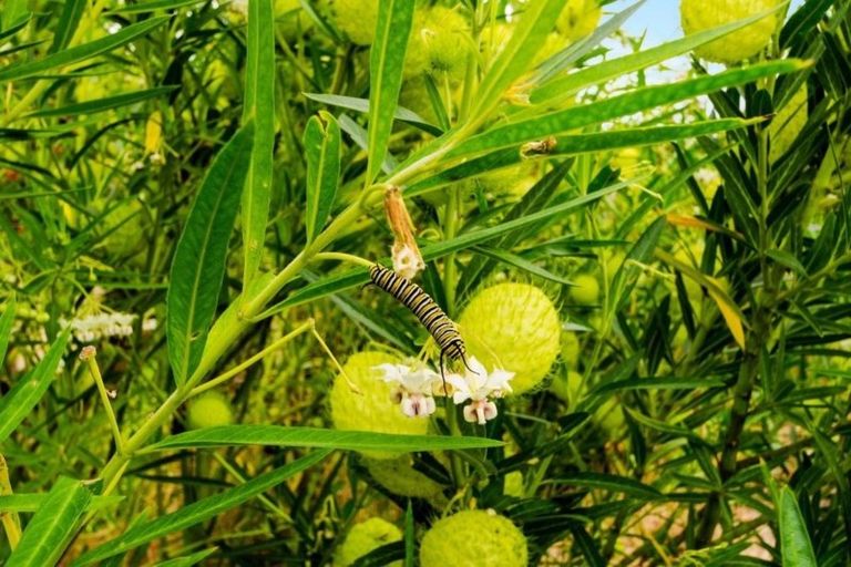 Photo of property in 320 Bawden Road, Dairy Flat, Albany, 0792