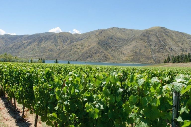 Photo of property in 49 Awahokomo Road, Kurow, 9435