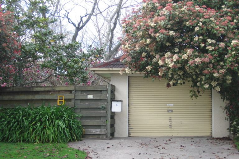 Photo of property in 8 Tutchen Street, Tauranga, 3110