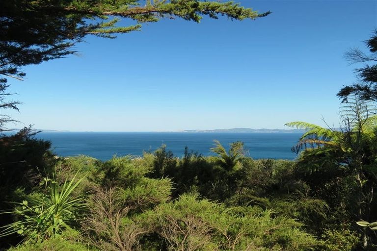 Photo of property in 492 Tuateawa Road, Tuateawa, Coromandel, 3583