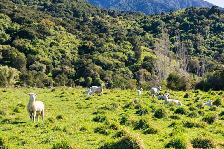 Photo of property in 53 Grange Road, Hapuku, Kaikoura, 7371