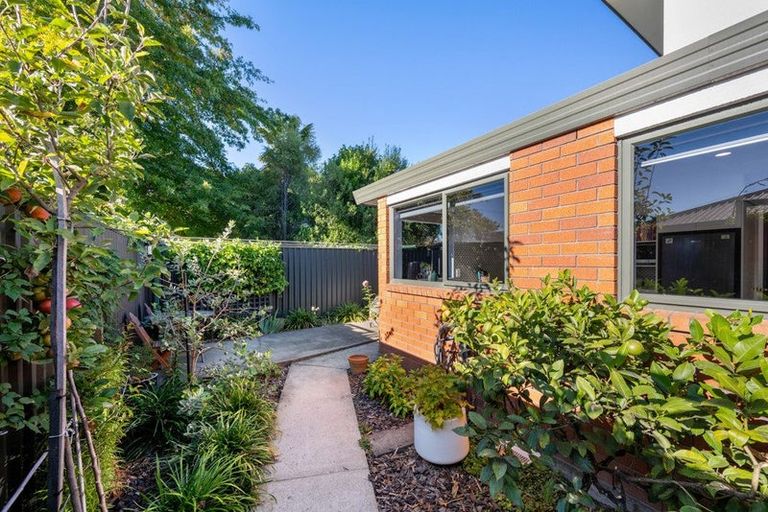 Photo of property in 105a Maxwell Road, Blenheim, 7201