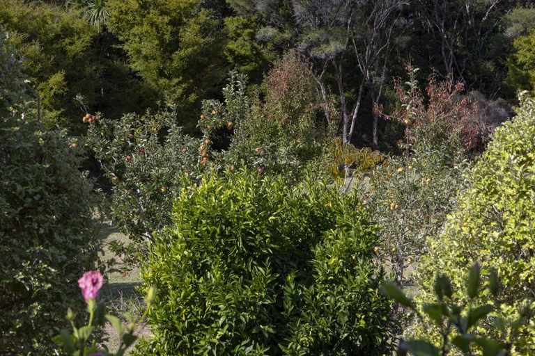 Photo of property in 39 Gangway Road, Totara North, Kaeo, 0479