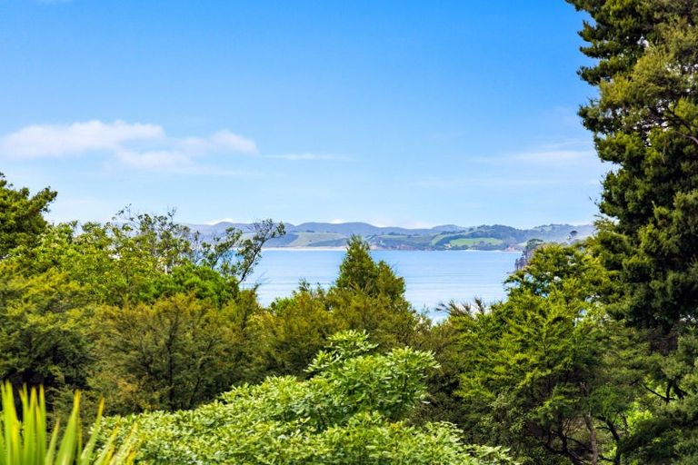 Photo of property in 25 Matheson Bay Road, Leigh, 0985