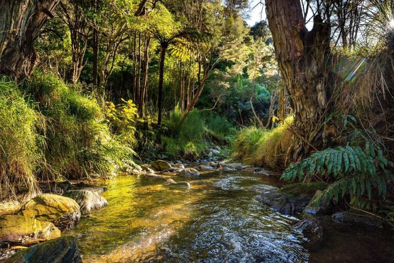 Photo of property in 26 Manuka Drive, Ngakuta Bay, Picton, 7281