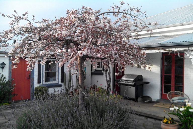 Photo of property in 85 Vigor Brown Street, Napier South, Napier, 4110