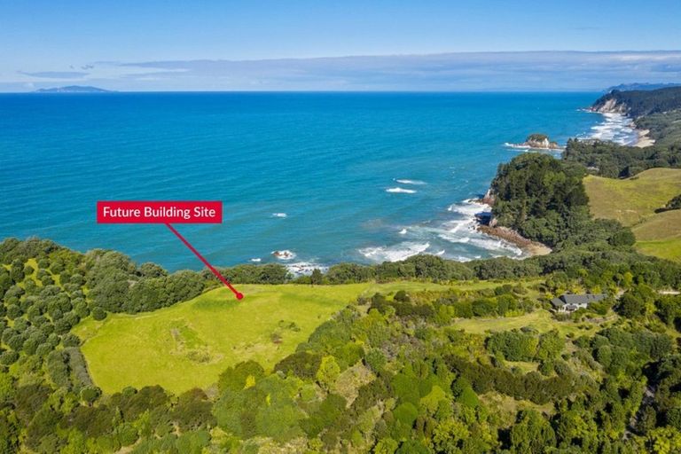 Photo of property in 339 Onemana Drive, Onemana, Whangamata, 3691