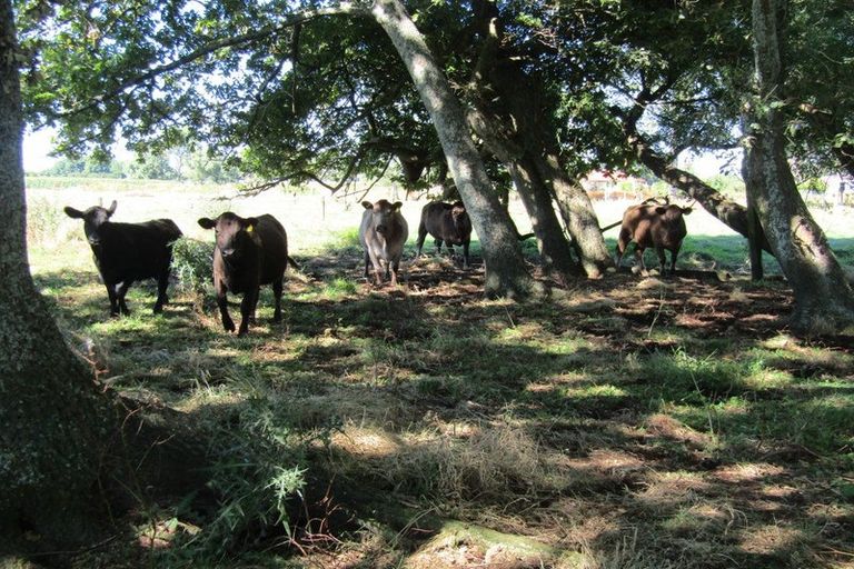 Photo of property in 452 Holland Road, Eureka, Hamilton, 3286