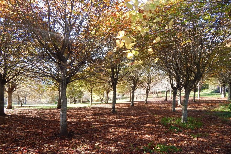 Photo of property in 10 Heron Hill, Kerikeri, 0230