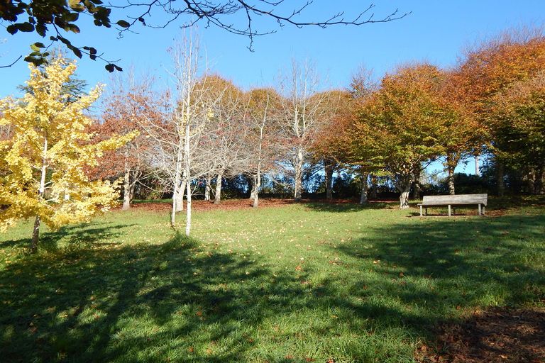 Photo of property in 10 Heron Hill, Kerikeri, 0230