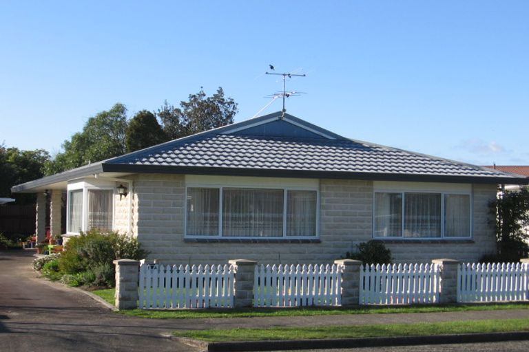 Photo of property in 1 Mabson Terrace, Masterton, 5810