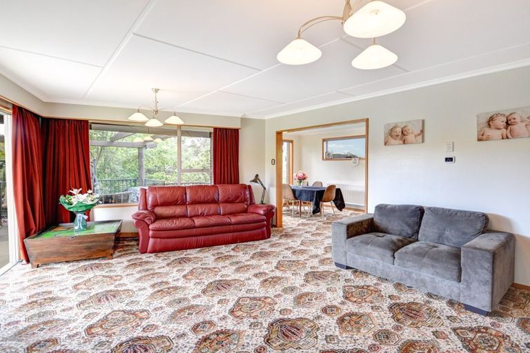 Photo of property in 14 Bidston Street, Outram, 9019