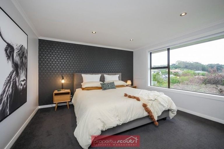 Photo of property in 6 Kinvig Street, Andersons Bay, Dunedin, 9013